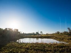Terreno para Venda em Santa Cruz do Sul - 4