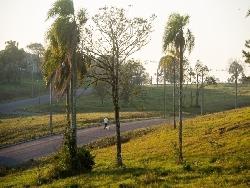 Terreno para Venda em Santa Cruz do Sul - 3