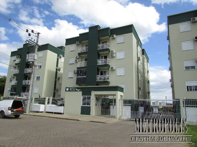 #206A22 - Apartamento para Locação em Santa Cruz do Sul - RS - 1