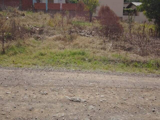 Terreno para Venda em Santa Cruz do Sul - 2