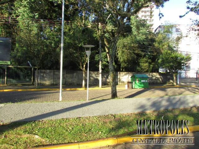 Venda em Centro - Santa Cruz do Sul