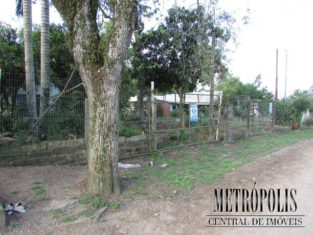 Terreno para Venda em Santa Cruz do Sul - 2