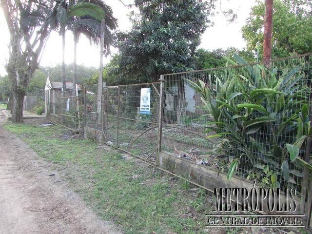 #262T1 - Terreno para Venda em Santa Cruz do Sul - RS - 1