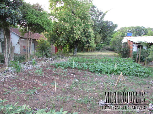 Terreno para Venda em Santa Cruz do Sul - 5