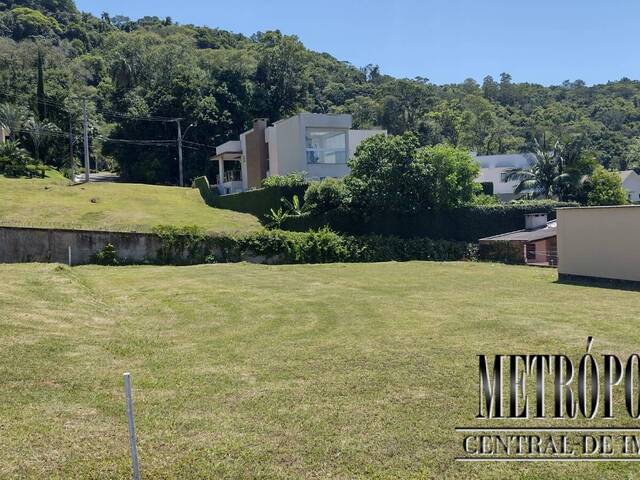 Terreno para Venda em Santa Cruz do Sul - 2