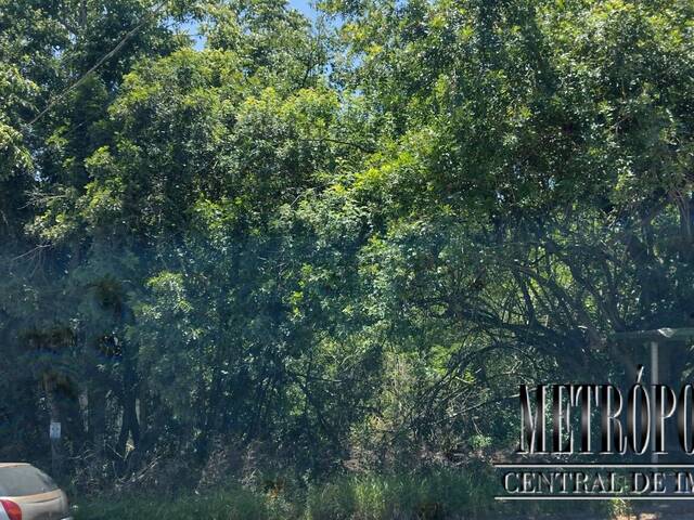 Terreno para Venda em Santa Cruz do Sul - 2