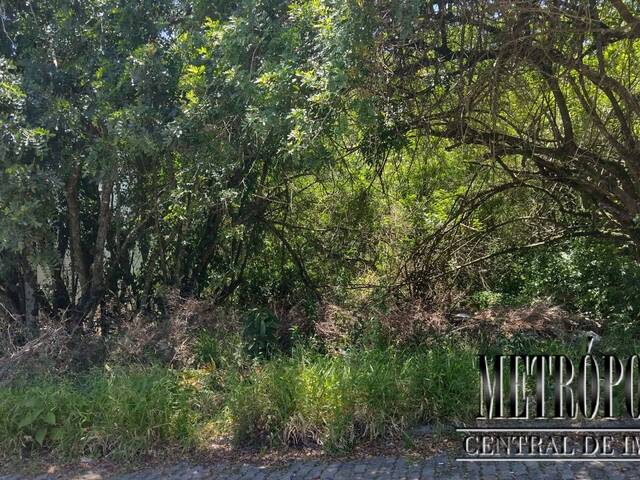 Terreno para Venda em Santa Cruz do Sul - 5