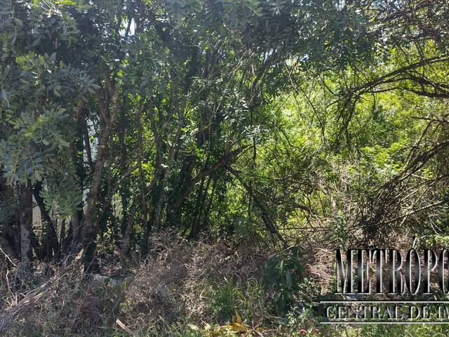 Terreno para Venda em Santa Cruz do Sul - 4