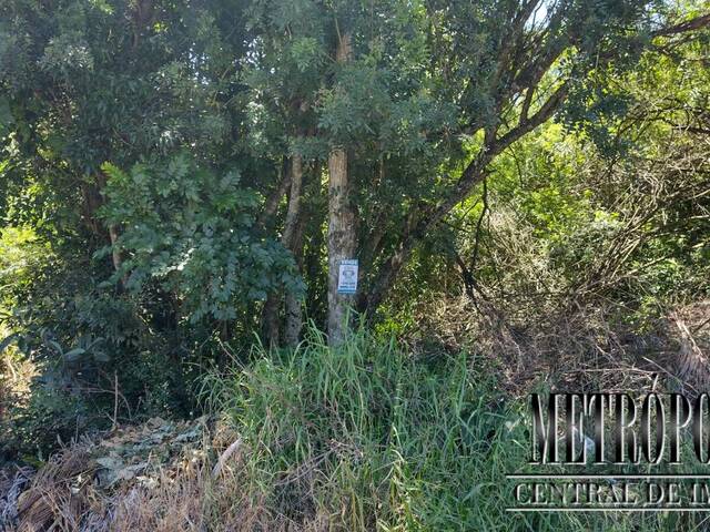 Terreno para Venda em Santa Cruz do Sul - 3