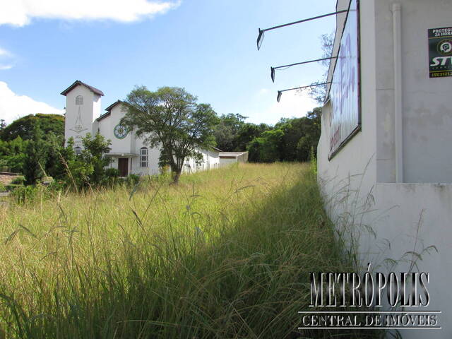 Terreno para Locação em Santa Cruz do Sul - 4
