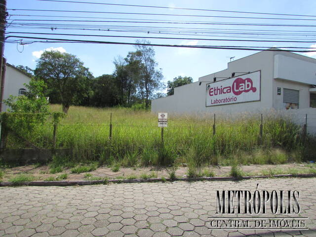 Terreno para Locação em Santa Cruz do Sul - 2