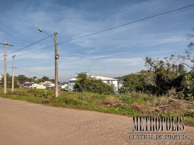 Venda em Margarida - Santa Cruz do Sul