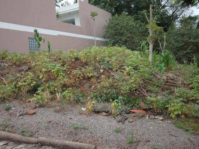 Terreno para Venda em Santa Cruz do Sul - 2