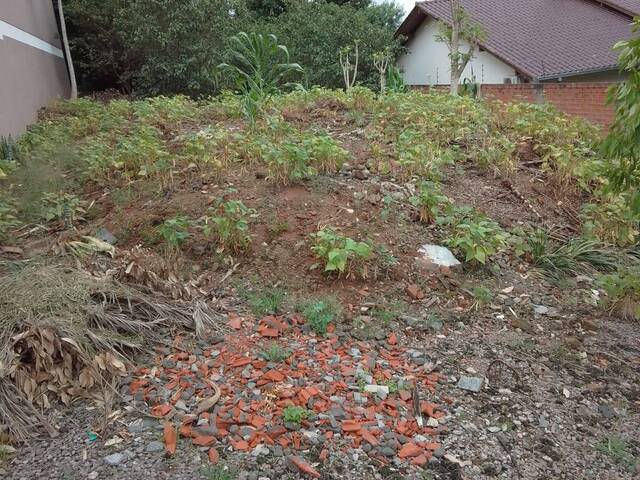 Terreno para Venda em Santa Cruz do Sul - 3