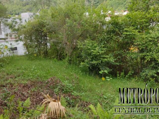 Terreno para Venda em Santa Cruz do Sul - 2
