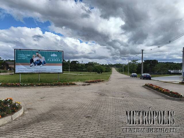 Terreno para Venda em Santa Cruz do Sul - 2