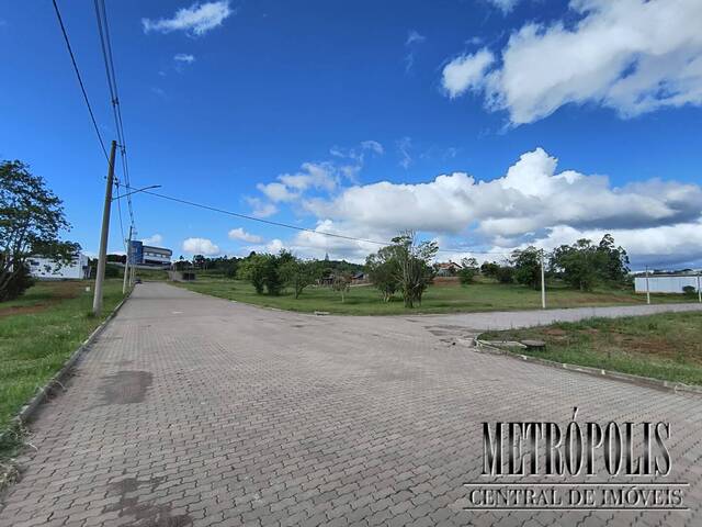 Terreno para Venda em Santa Cruz do Sul - 3