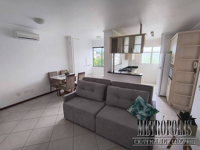 Apartamento para Locação em Santa Cruz do Sul - 5