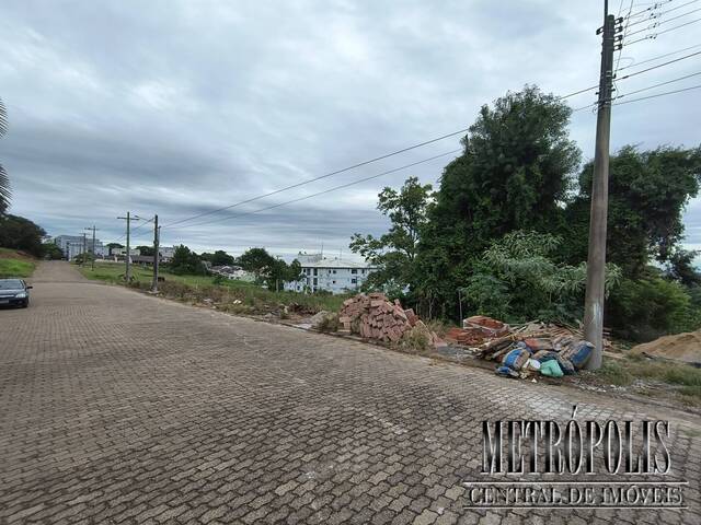 Terreno para Venda em Santa Cruz do Sul - 3