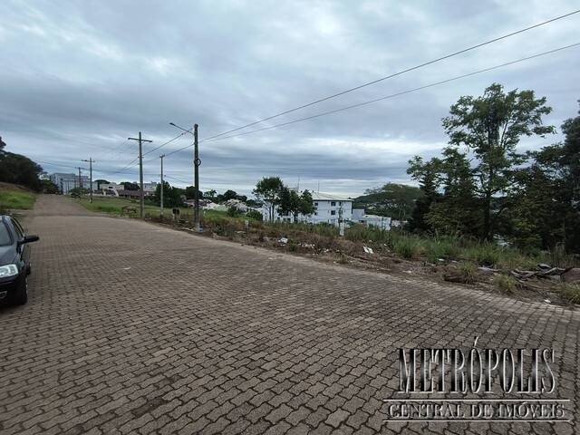 Terreno para Venda em Santa Cruz do Sul - 3