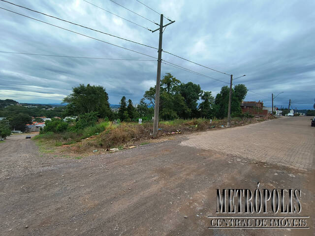Terreno para Venda em Santa Cruz do Sul - 4