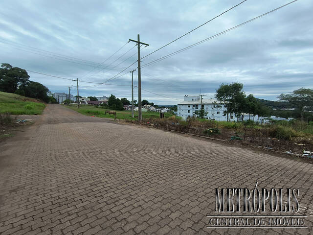 Terreno para Venda em Santa Cruz do Sul - 3