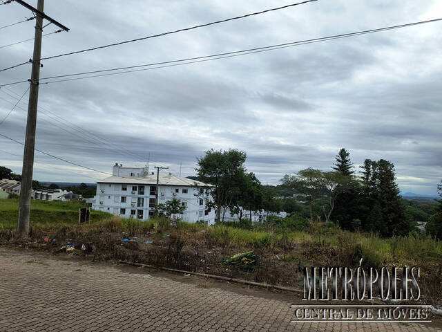 Terreno para Venda em Santa Cruz do Sul - 2