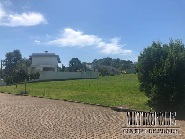 Terreno para Venda em Santa Cruz do Sul - 2