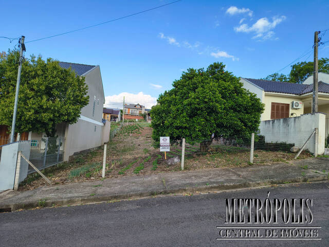 Terreno para Venda em Santa Cruz do Sul - 2