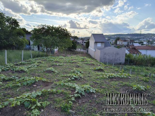 Terreno para Venda em Santa Cruz do Sul - 3