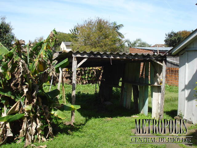 Casa para Locação em Santa Cruz do Sul - 3