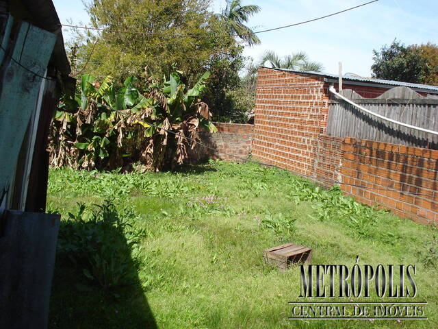 Casa para Locação em Santa Cruz do Sul - 4