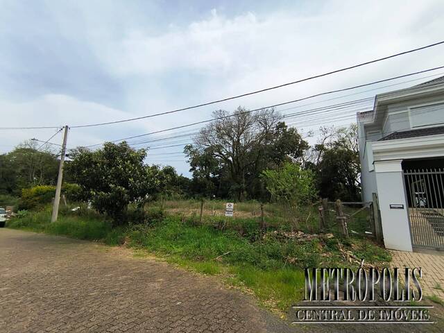 Terreno para Venda em Santa Cruz do Sul - 2