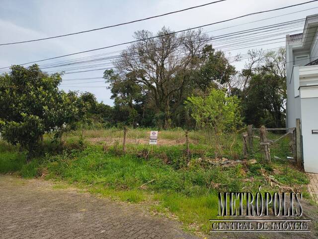 Terreno para Venda em Santa Cruz do Sul - 3